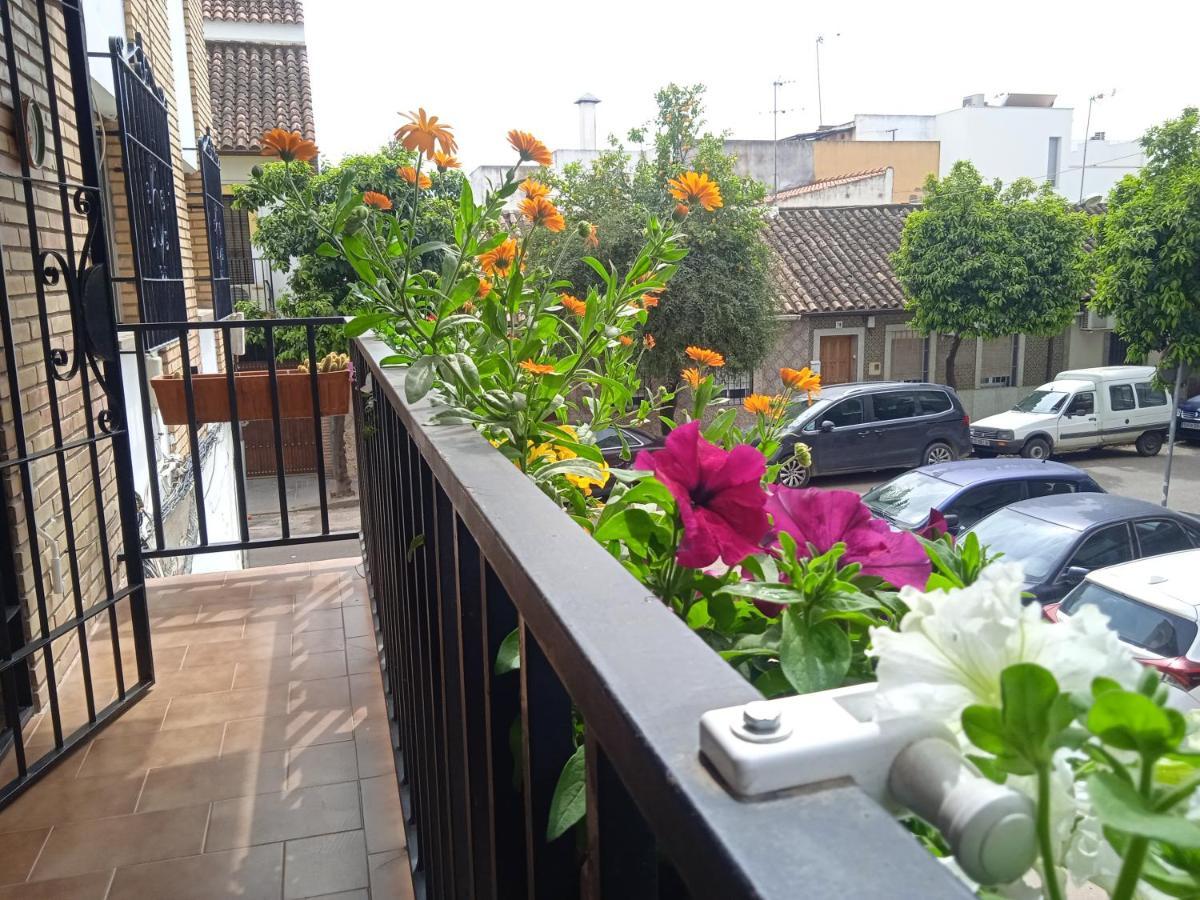 Casa Violeta Apartament Còrdova